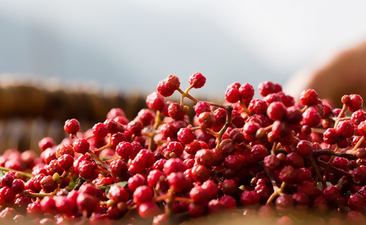 花椒有何用途呢？